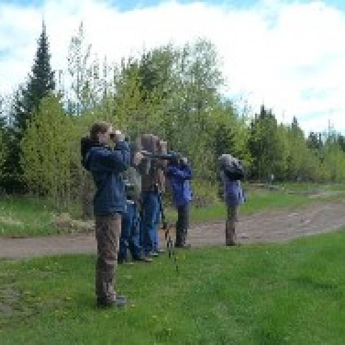 Teaser image for Gunflint Trail Spring Birding Experience: Up the Trail