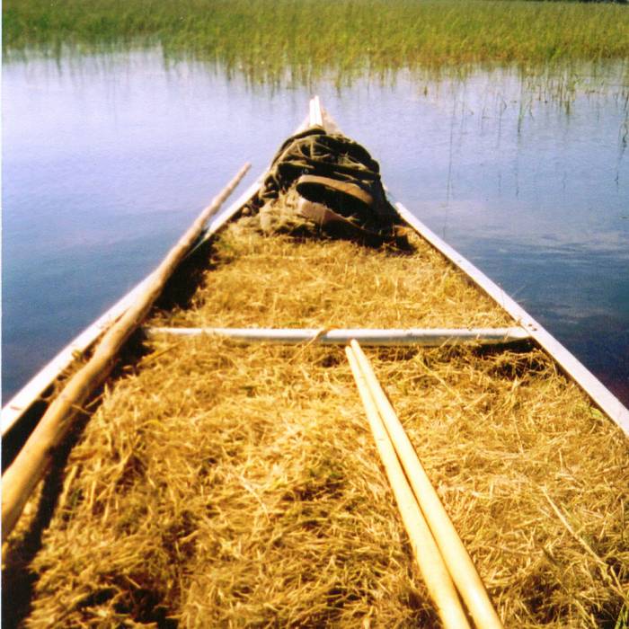 Teaser image for Traditional Harvest of Wild Rice