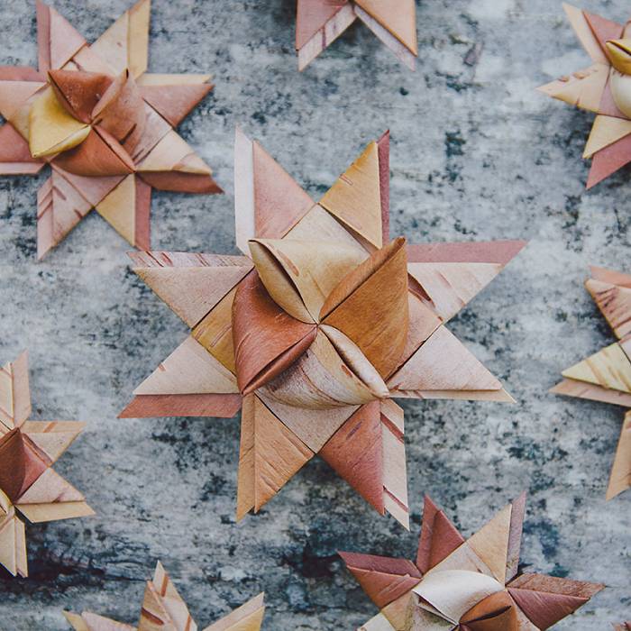 Teaser image for Birch Bark Stars (Online Course)