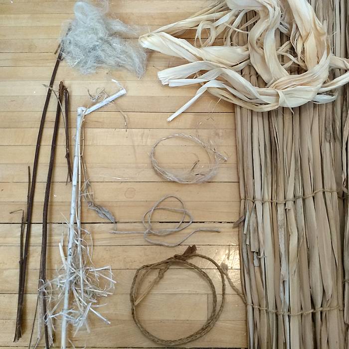 Teaser image for Fun with Plant Fibers for Families