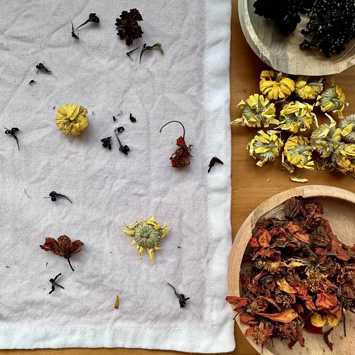 Teaser image for Bundle Dyeing with Garden-Grown Pigments & More