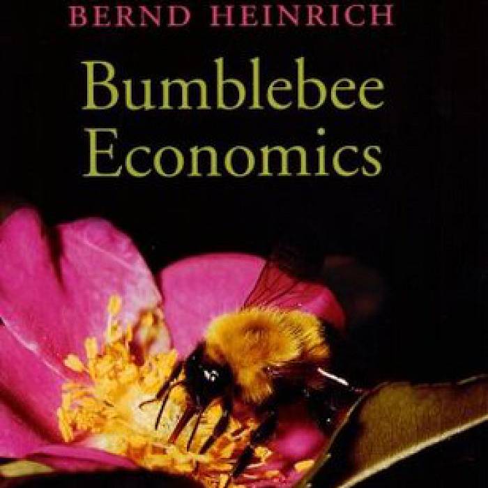 Teaser image for Bees and Flowers: Behavior, Physiology and Ecology