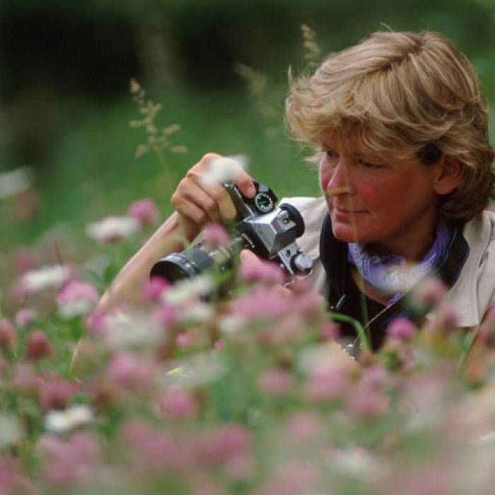 Teaser image for Grand Marais & Beyond Nature Photography Workshop: Summer Session