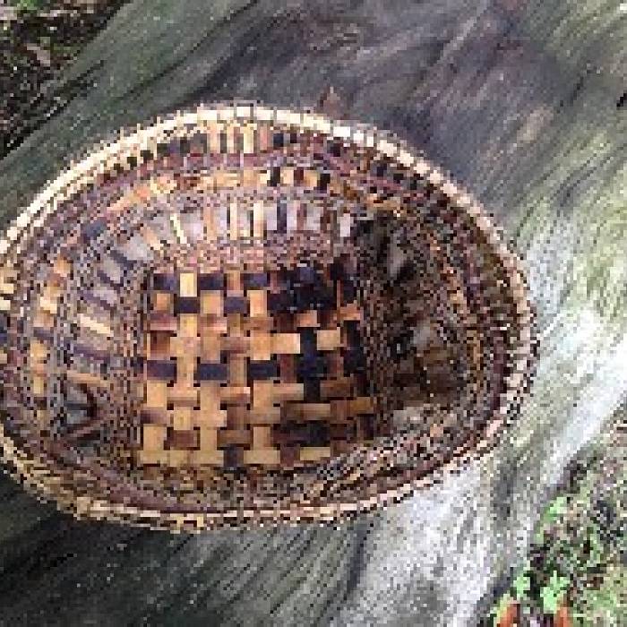 Teaser image for Weaving with Willow Barks: Plaited Bowls