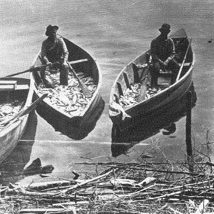 Teaser image for Lofting and Pattern Making for the Herring Skiff