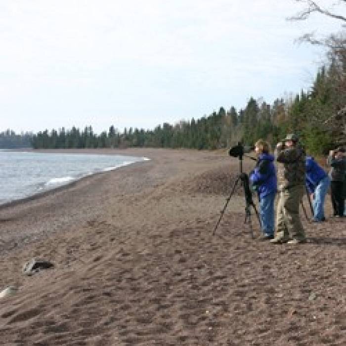 Teaser image for Magnet On The Shore: Birding Intro Workshop