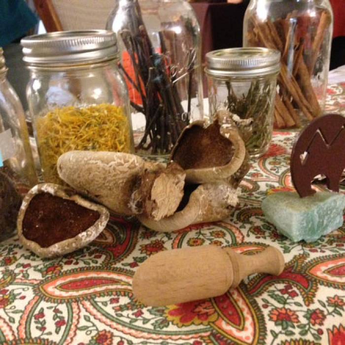 Teaser image for Herbalism Immersion: Traditional Herbal Apotheca