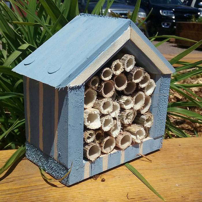 Teaser image for Pollinator Palaces: Mason Bee Houses Built by Kids