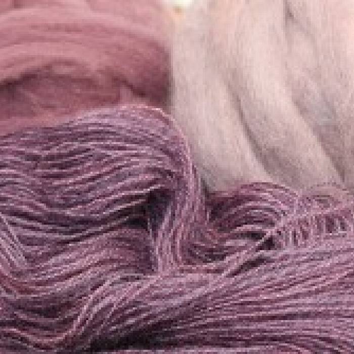 Teaser image for Passionate Purples: Natural Dyes