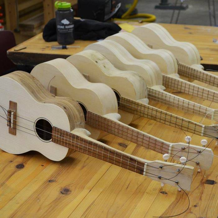 Teaser image for Ukulele: Build Your Own