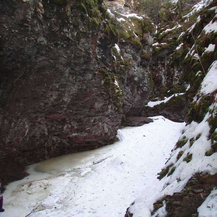 Teaser image for Winter River Exploration